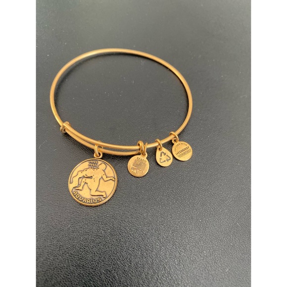 Alex and Ani / Gold Aquarius Charm Bangle - Picture 2 of 3